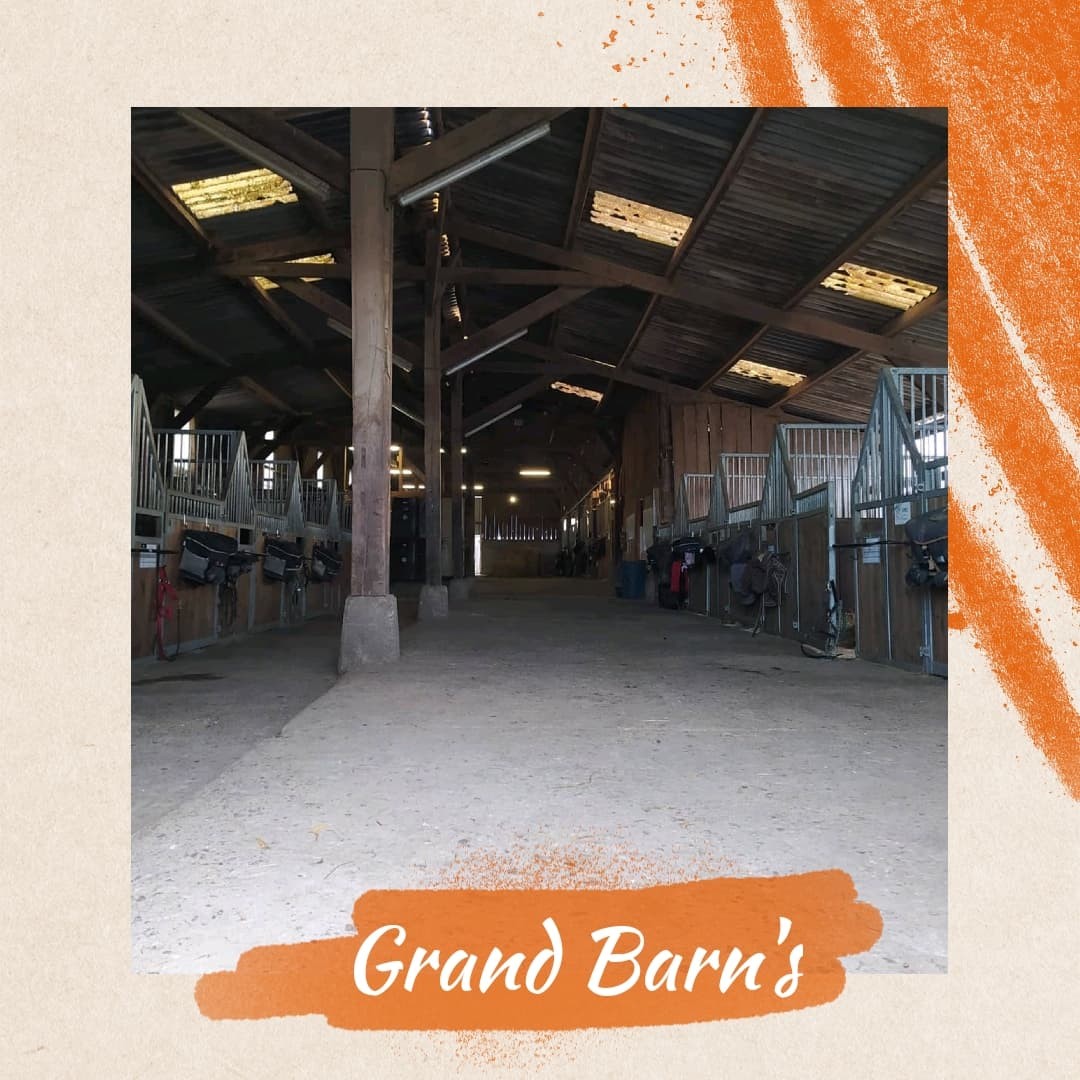 Barns