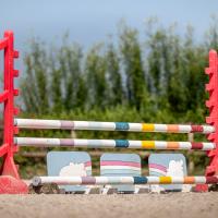 Img 4374