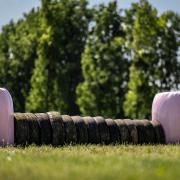 Img 4379