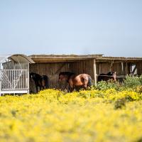 Img 4381