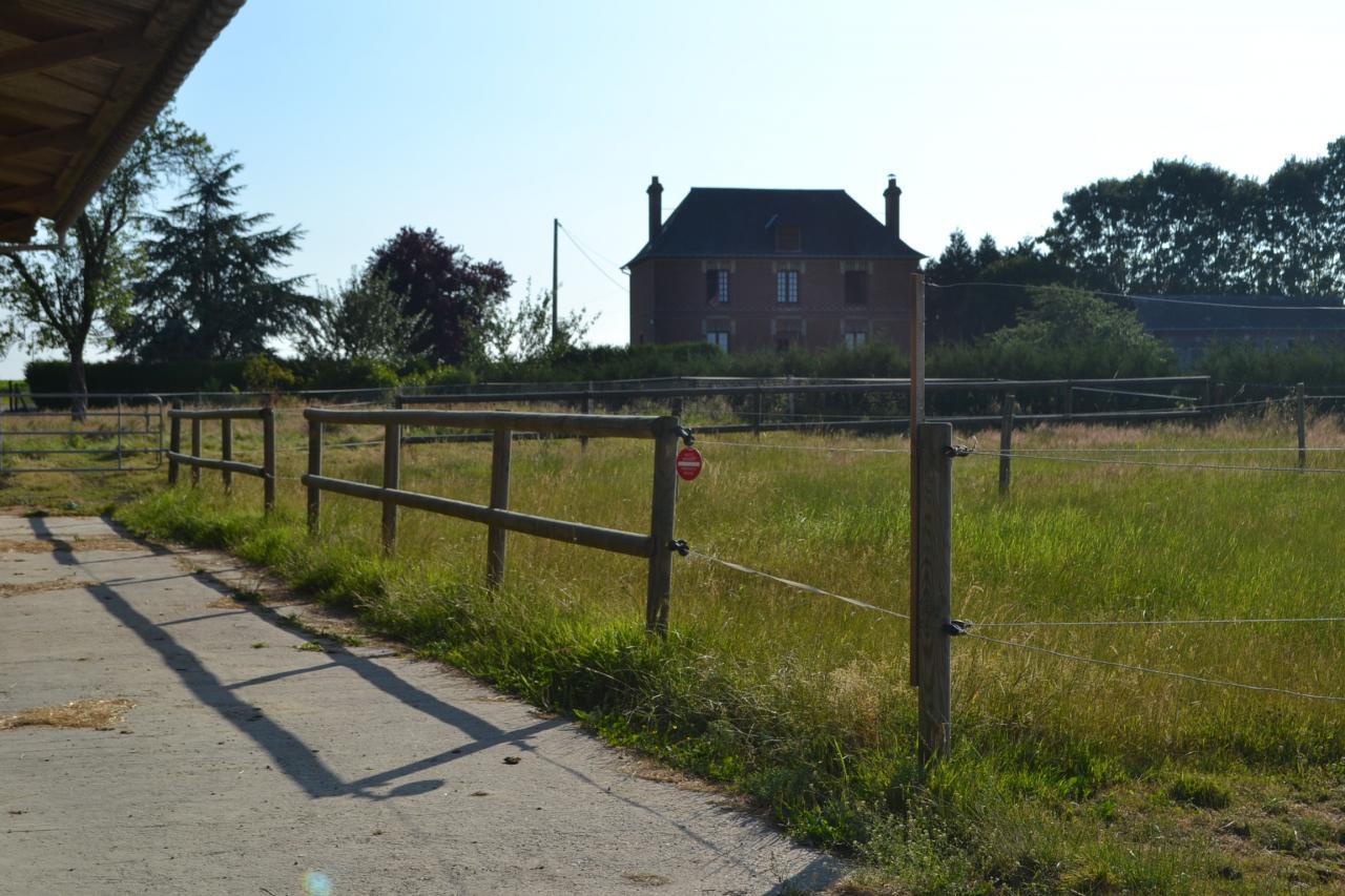 Les paddocks individuels
