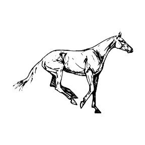 A14183 d4e26019e11844fb8cc44b168ce03386 gif srz 299 299 85 22 0 50 1 20 0