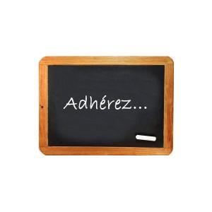 Adhesion 2015