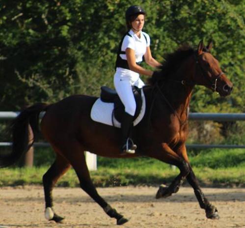 Alban