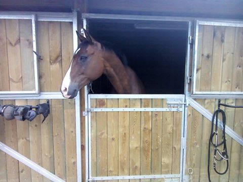 Lascar