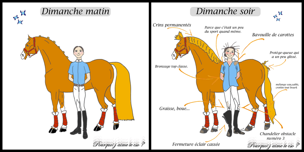 Ob 489275 concours matinsoir final copyright