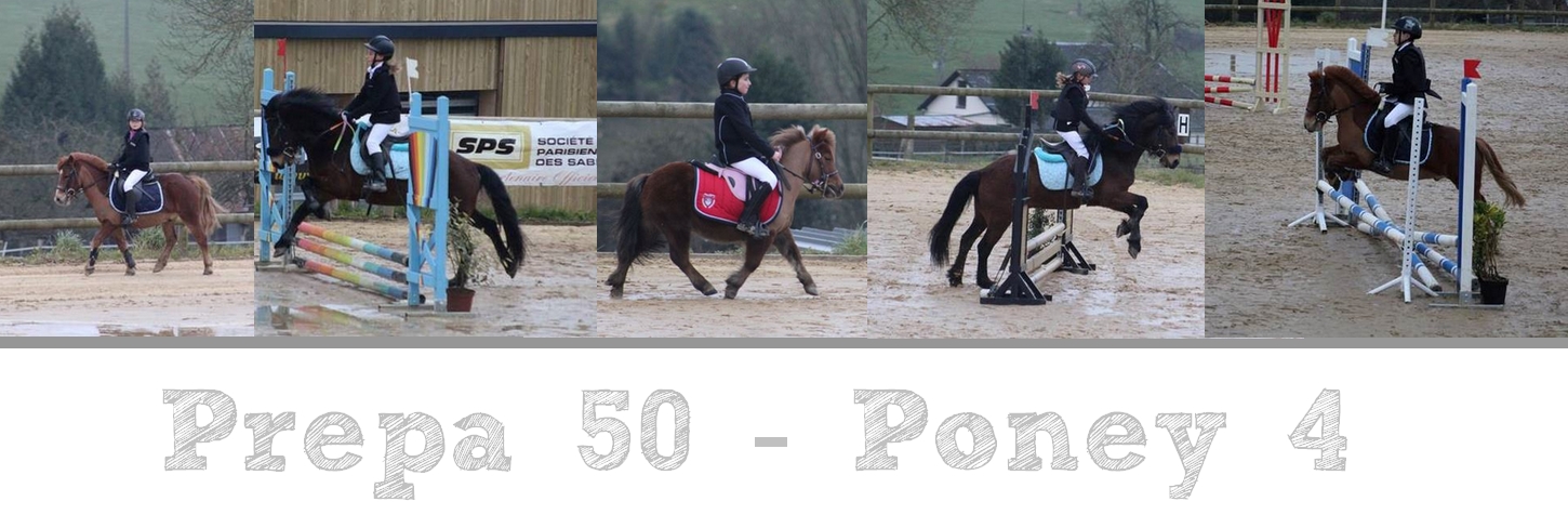 Poney4