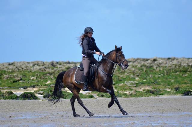 Uno et meline